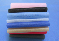 北海街道涤纶（PET）无纺布是什么